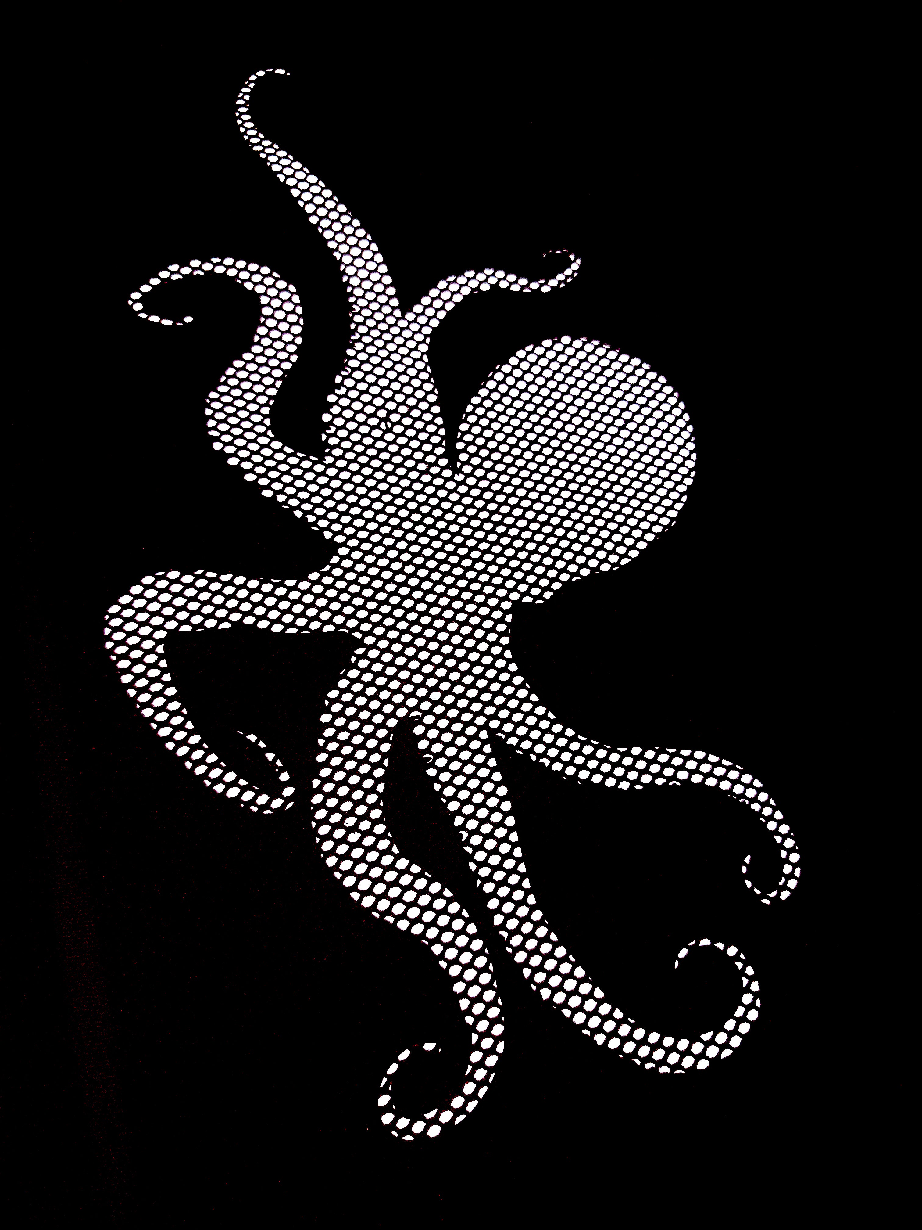 ⓉⓈ Outer Couture Jacket